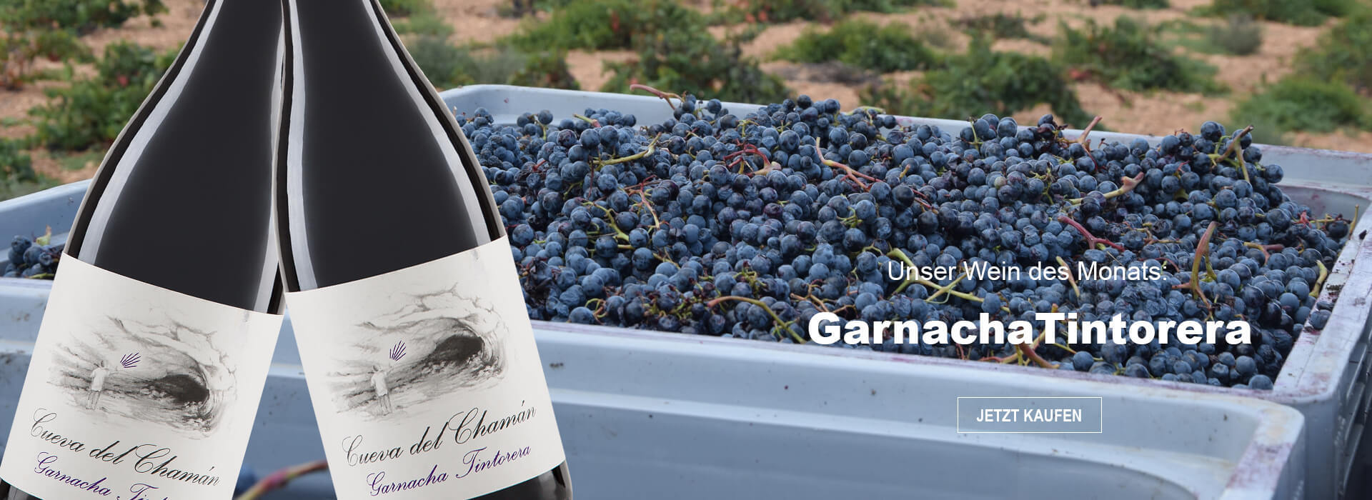 Wein des Monats Oktober: Garnacha Tintorera Wein des Monats Oktober: Garnacha Tintorera
