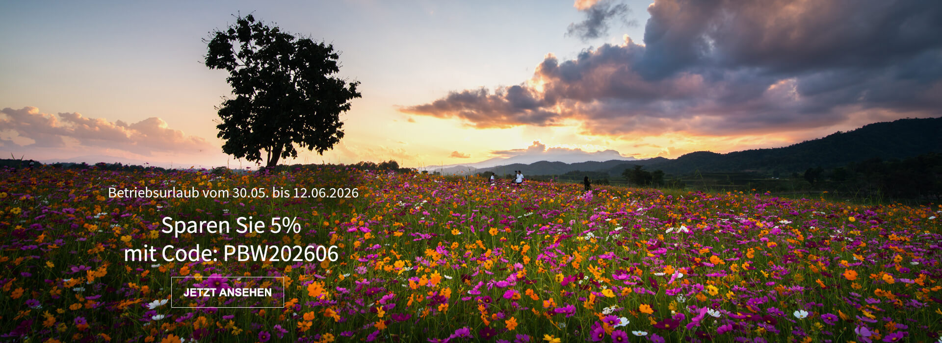 Kurze Versandpause, jetzt 5% sparen! Kurze Versandpause, jetzt 5% sparen!
