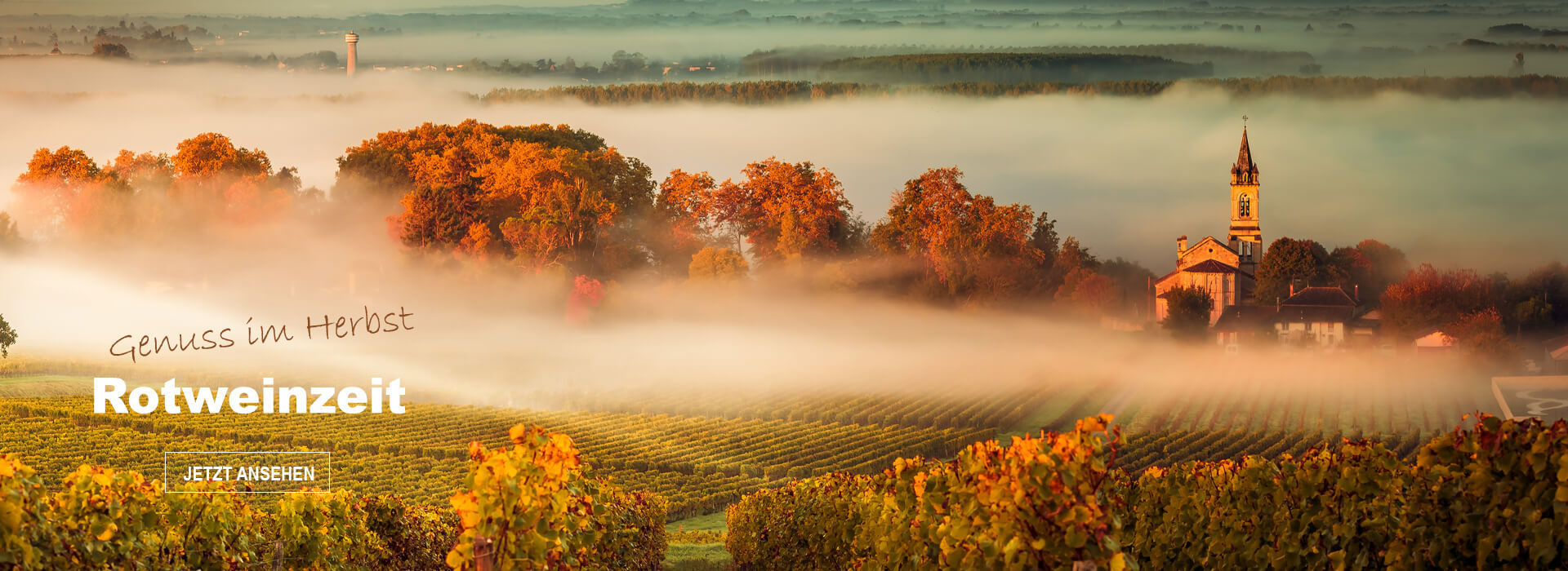 Herbst ist Rotweinzeit Herbst ist Rotweinzeit