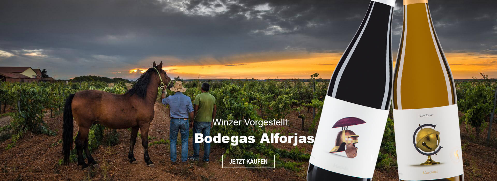 Winzer Vorgestellt: Bodegas Alforjas Winzer Vorgestellt: Bodegas Alforjas
