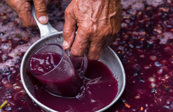 Weinwissen Weinwissen